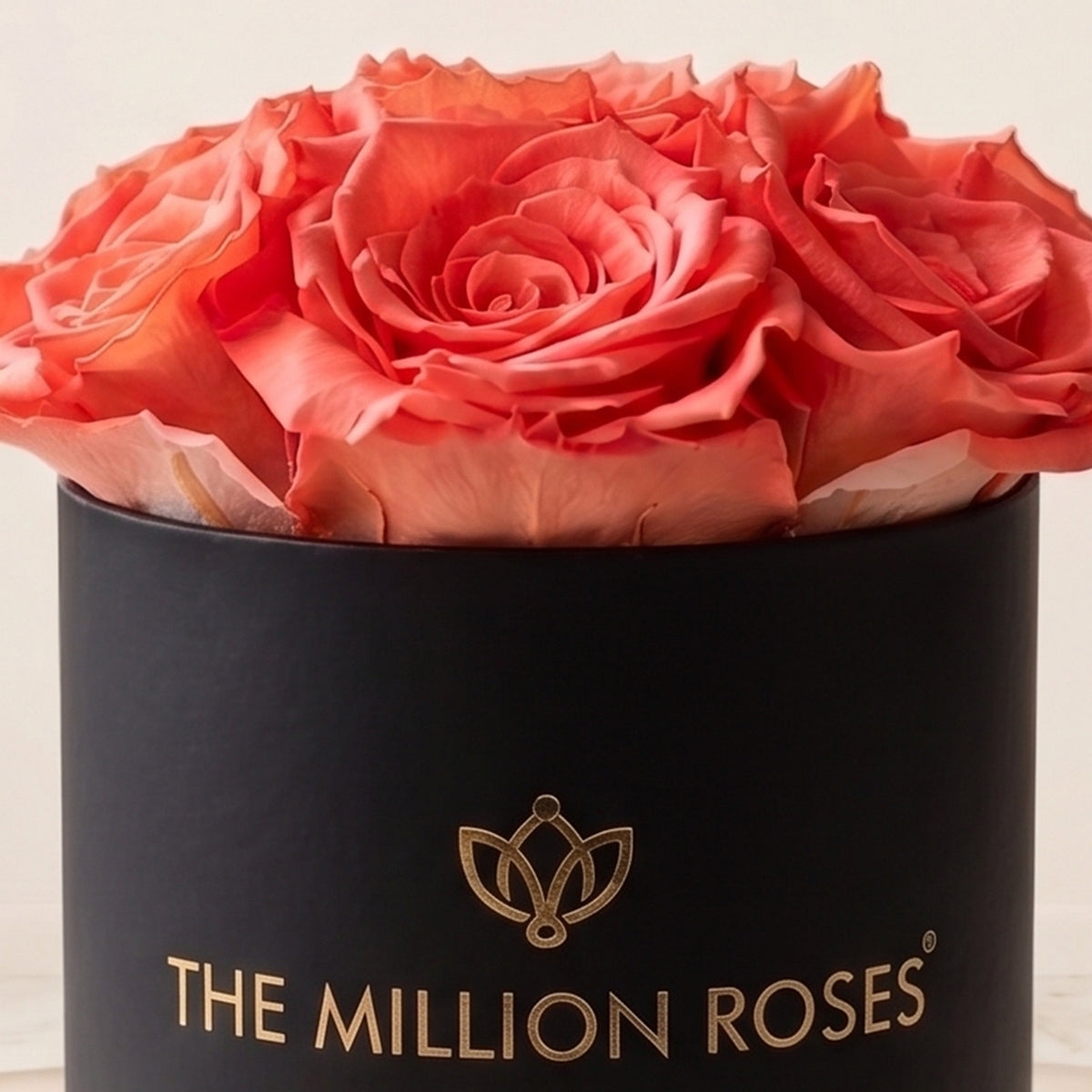 Essence Black Box | Coral Roses