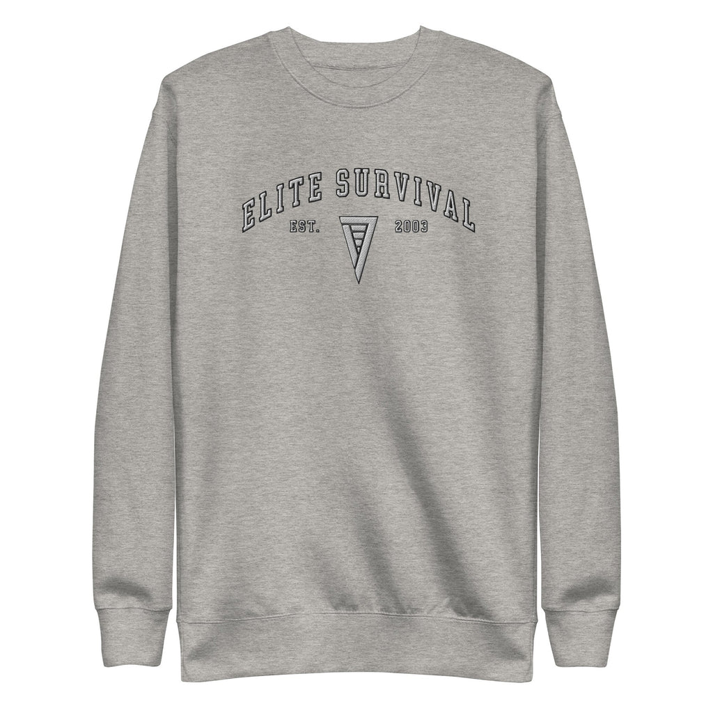 Unisex Embroidered Sweatshirt